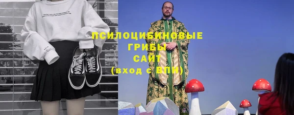 прущие крисы Алексин