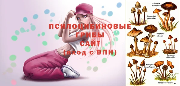 прущие крисы Алексин